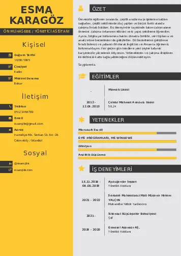 Yönetici Asistanı Cv Örnekleri cv indir